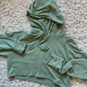 Whitney Simmons gym shark hoodie crop